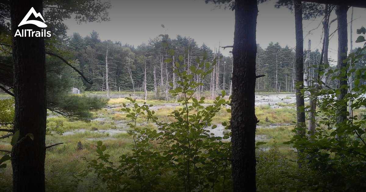 Best Trails near Danville, New Hampshire AllTrails