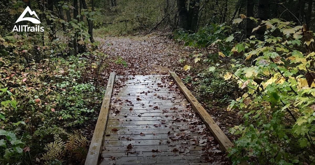 Best Hikes And Trails In Epping 