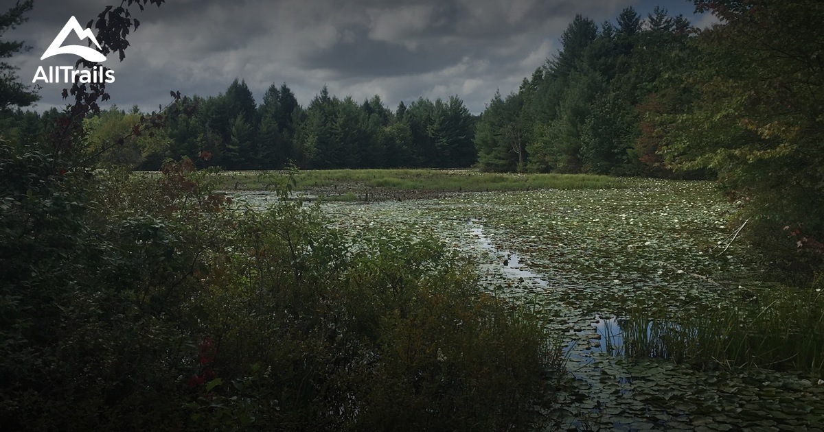 Best Trails near Kingston, New Hampshire AllTrails