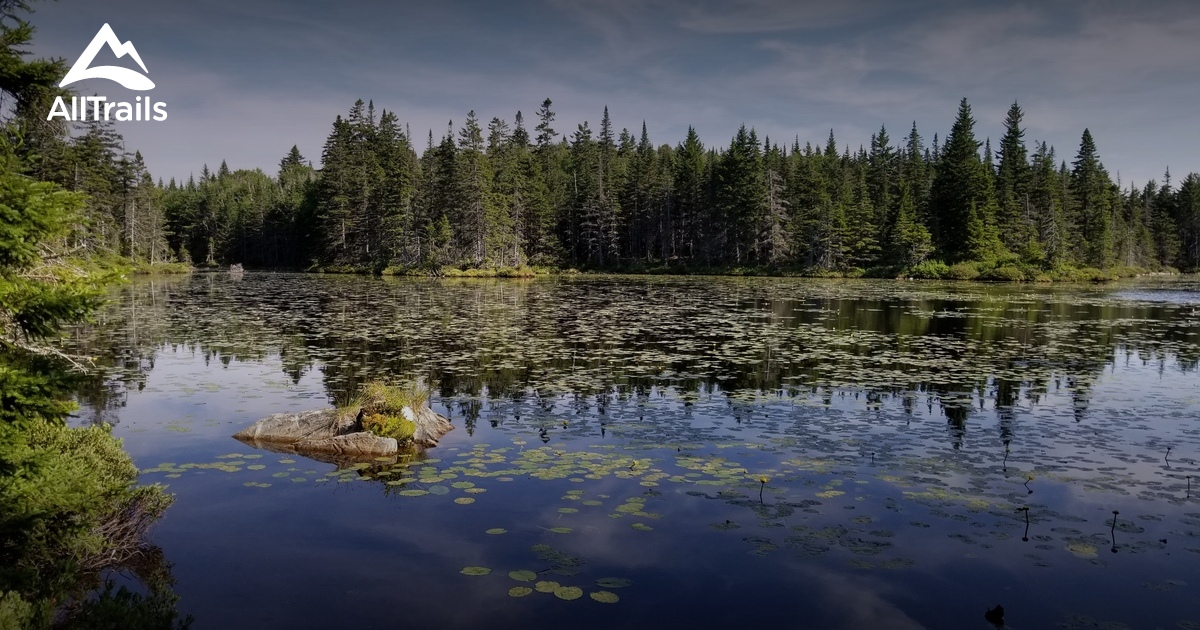 Best Wildlife Trails in Milan AllTrails