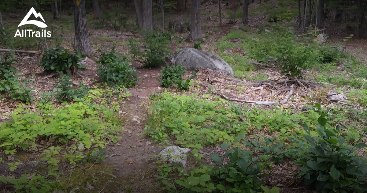 Best Hikes and Trails in Milton AllTrails