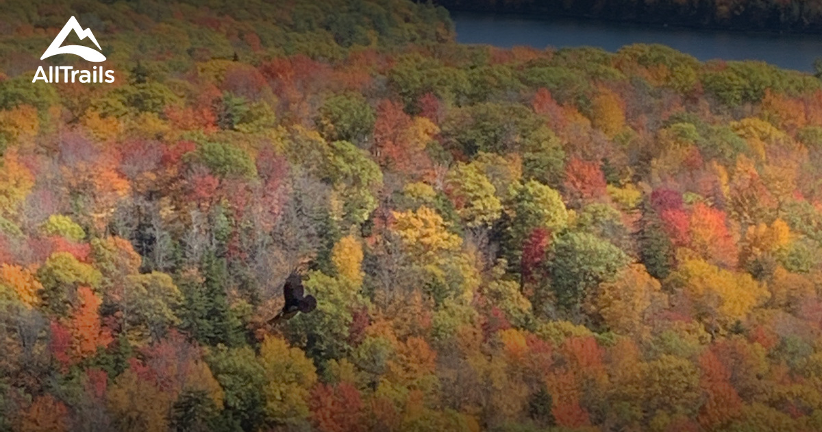 Best Trails near Nelson, New Hampshire AllTrails