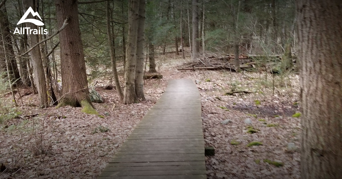 10 Best Trails and Hikes in Windham AllTrails