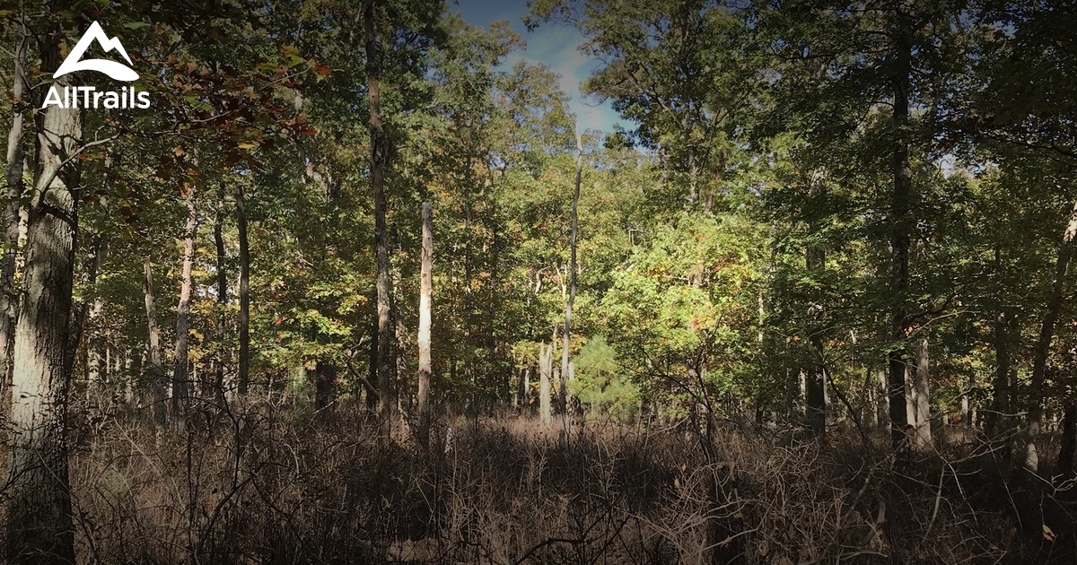 Best Hikes and Trails in Absecon AllTrails