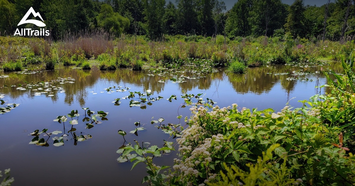 Best Hikes and Trails in Avenel AllTrails