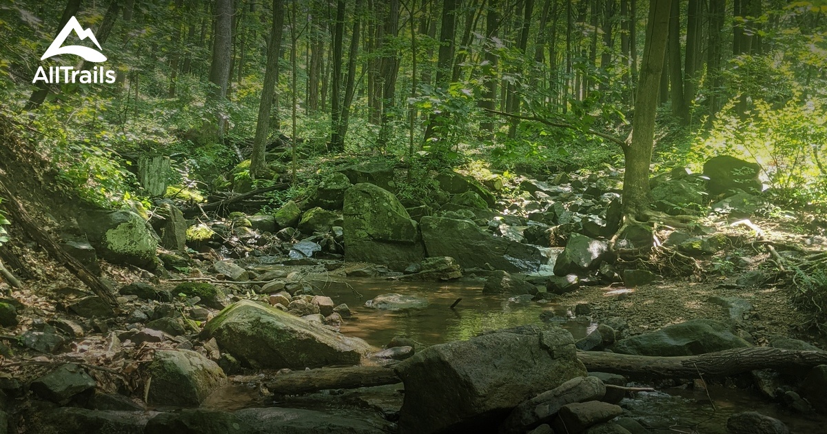 Day 104 - Mosquitoes. The “Rocks” of New Jersey - The Trek