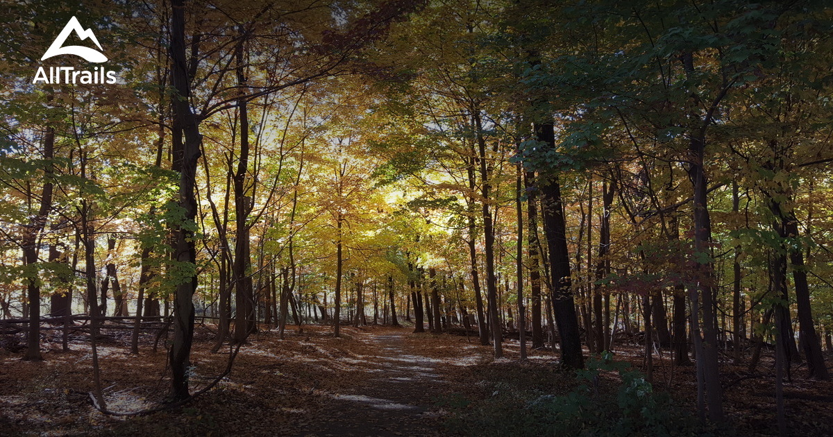 Best Trails near Bridgewater Township, New Jersey AllTrails