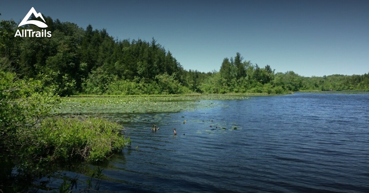 Best Lake Trails in Elmer AllTrails
