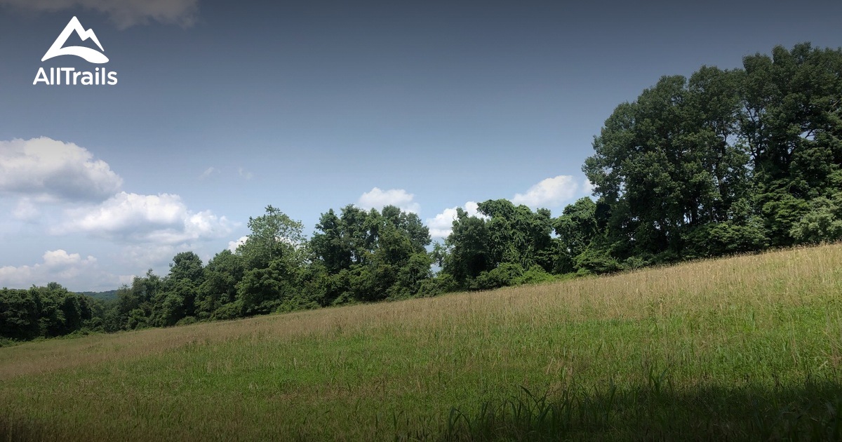 Best Hikes and Trails in Glen Gardner AllTrails