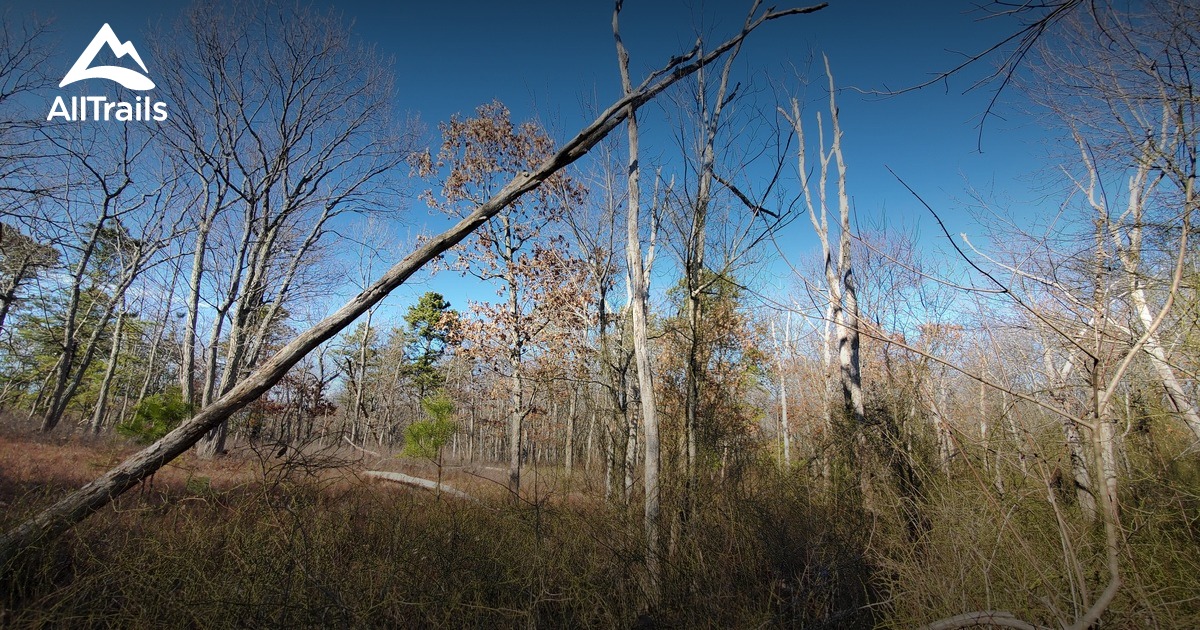 Best Walking Trails in Helmetta AllTrails