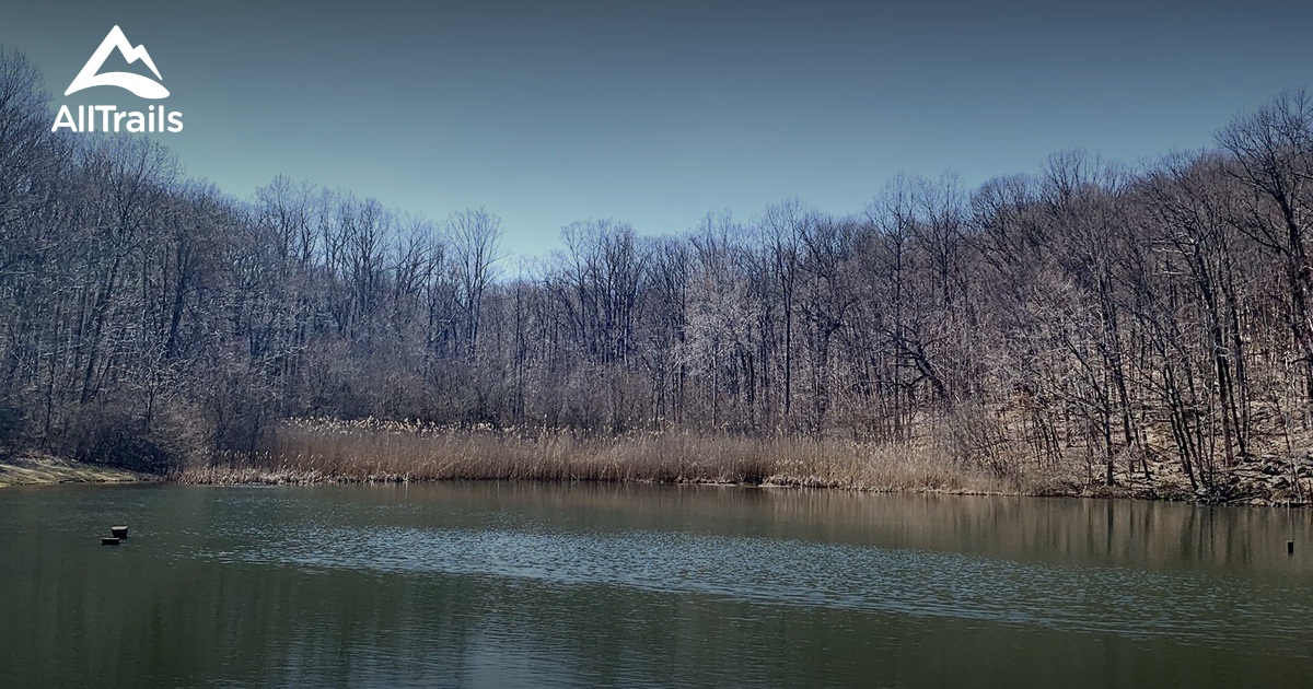 Best Hikes and Trails in Ledgewood AllTrails