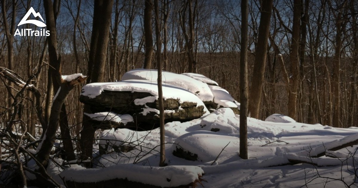 Best Trails near Mendham, New Jersey AllTrails