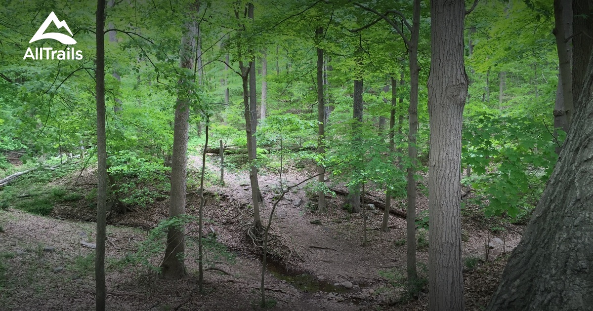 Best Trails near Mountainside New Jersey 128 Photos & 125 Reviews