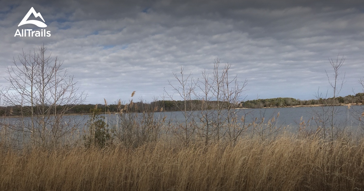 Best Walking Trails in Port Norris AllTrails