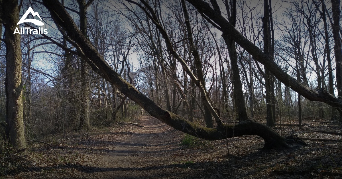 2023 Best Kid Friendly Trails in Thorofare AllTrails