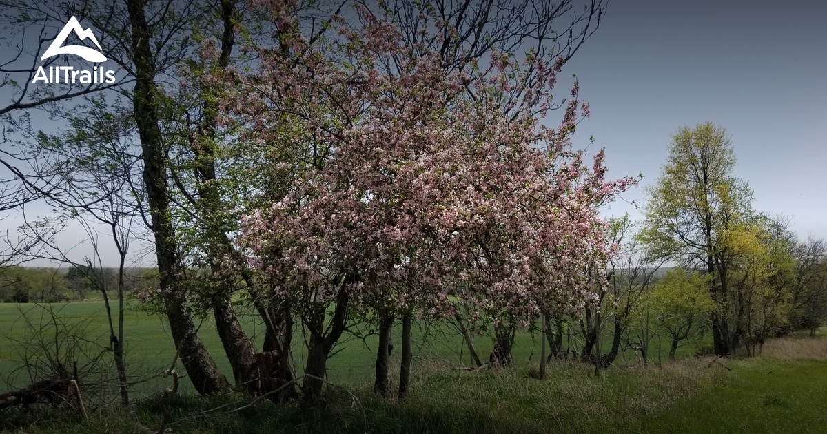 2023 Best Wild Flowers Trails in Three Bridges AllTrails