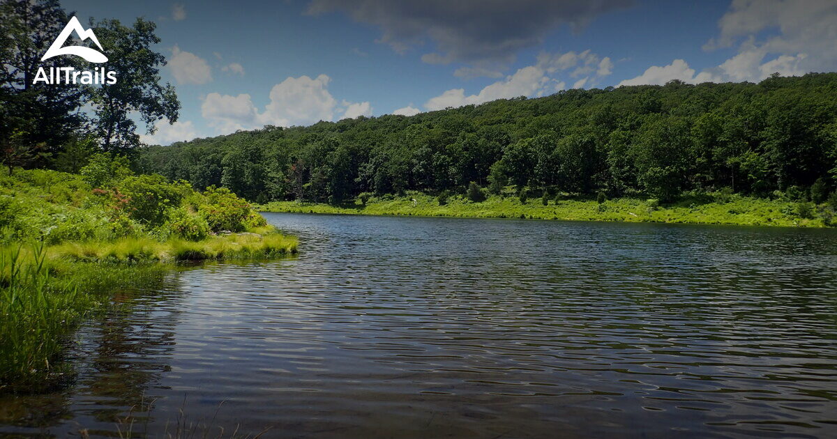 2023 Best Backpacking Trails in Wallpack Center AllTrails