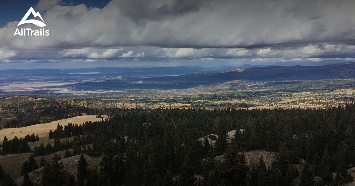 2023 Best Views Trails in Canjilon AllTrails