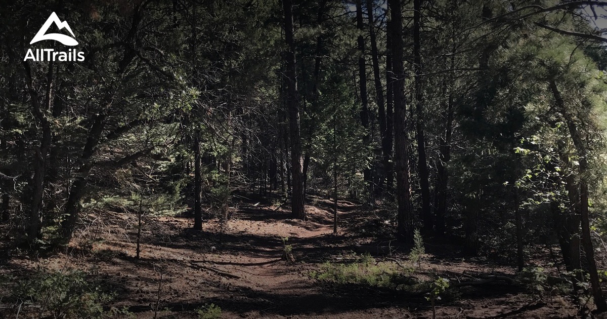 Best Trails near Cedar Crest, New Mexico AllTrails