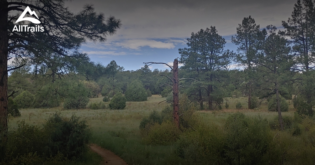 Best Hikes and Trails in Edgewood AllTrails