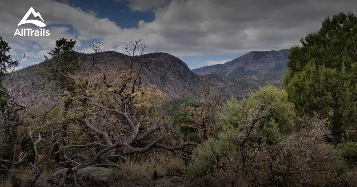 Best trails in Magdalena, New Mexico AllTrails