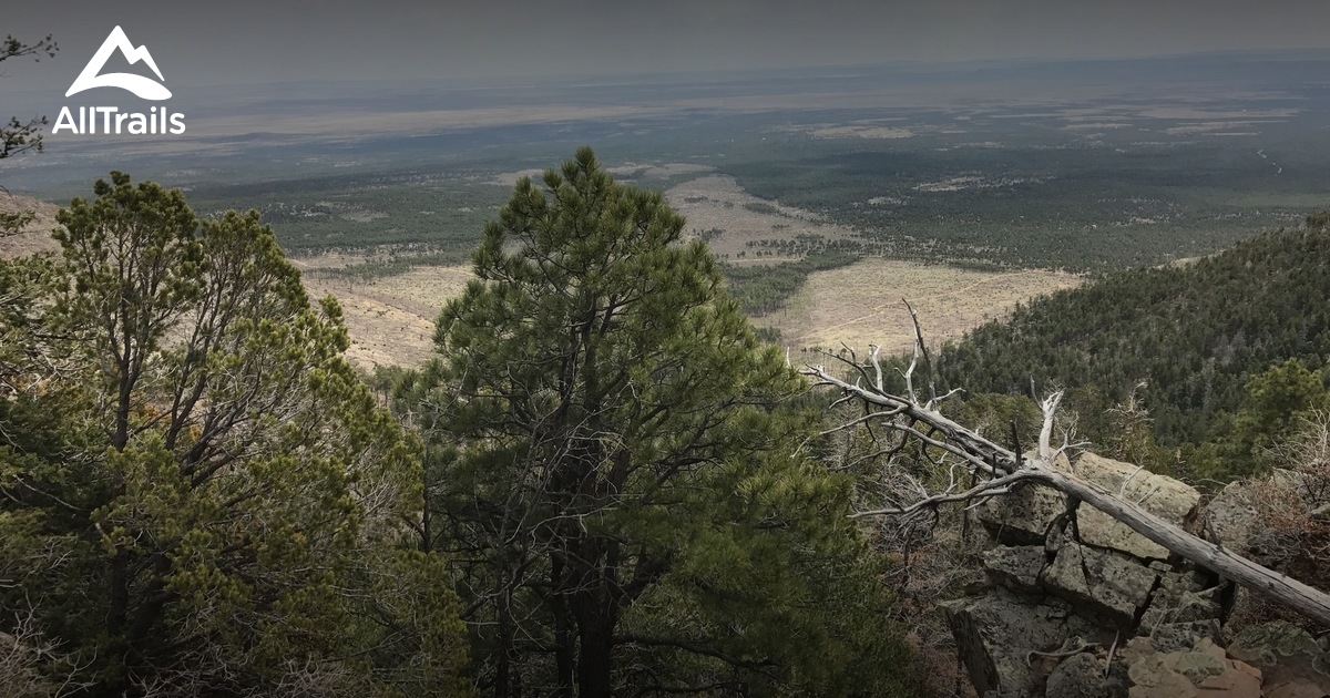 Best Trails near Mountainair, New Mexico AllTrails