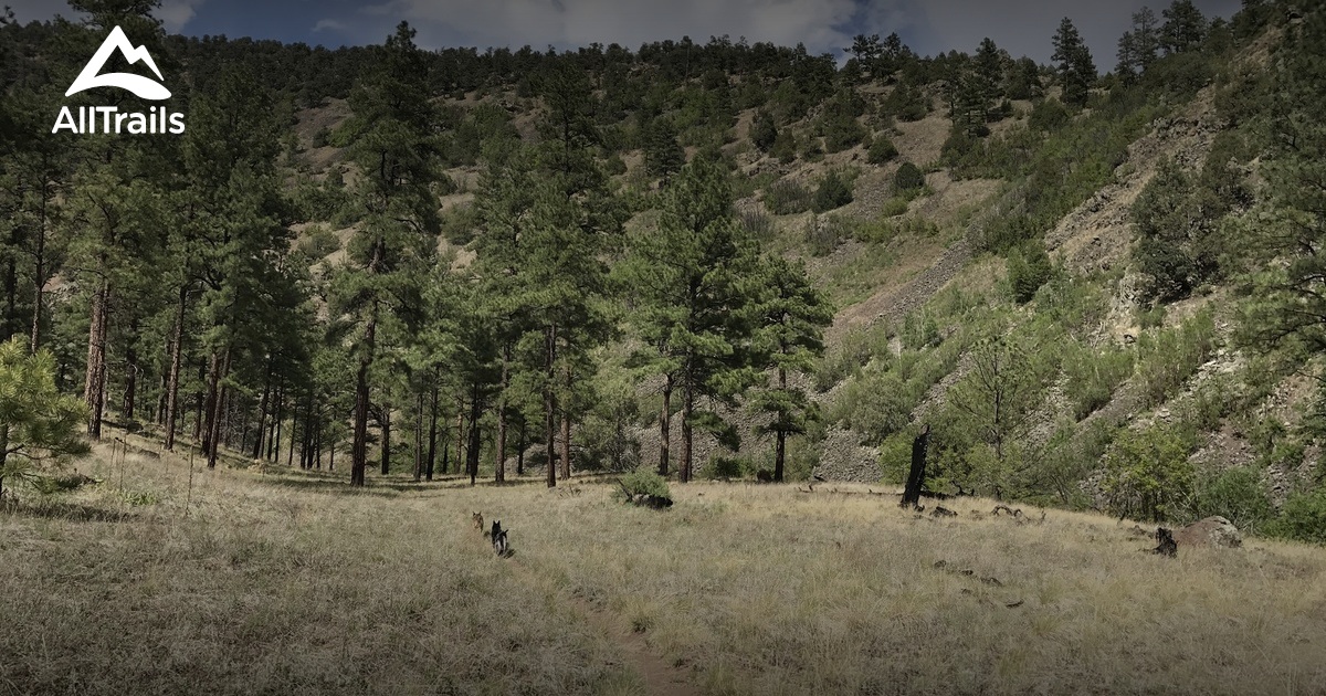 Best Trails near Reserve, New Mexico AllTrails