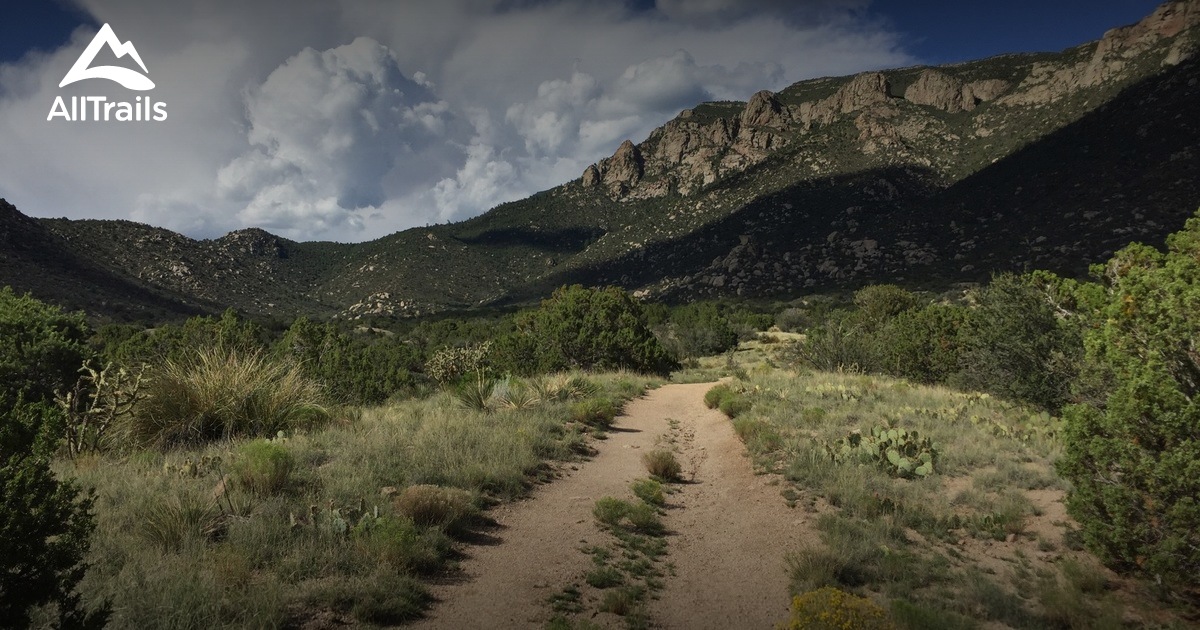 Best Trails near Sandia Park, New Mexico AllTrails