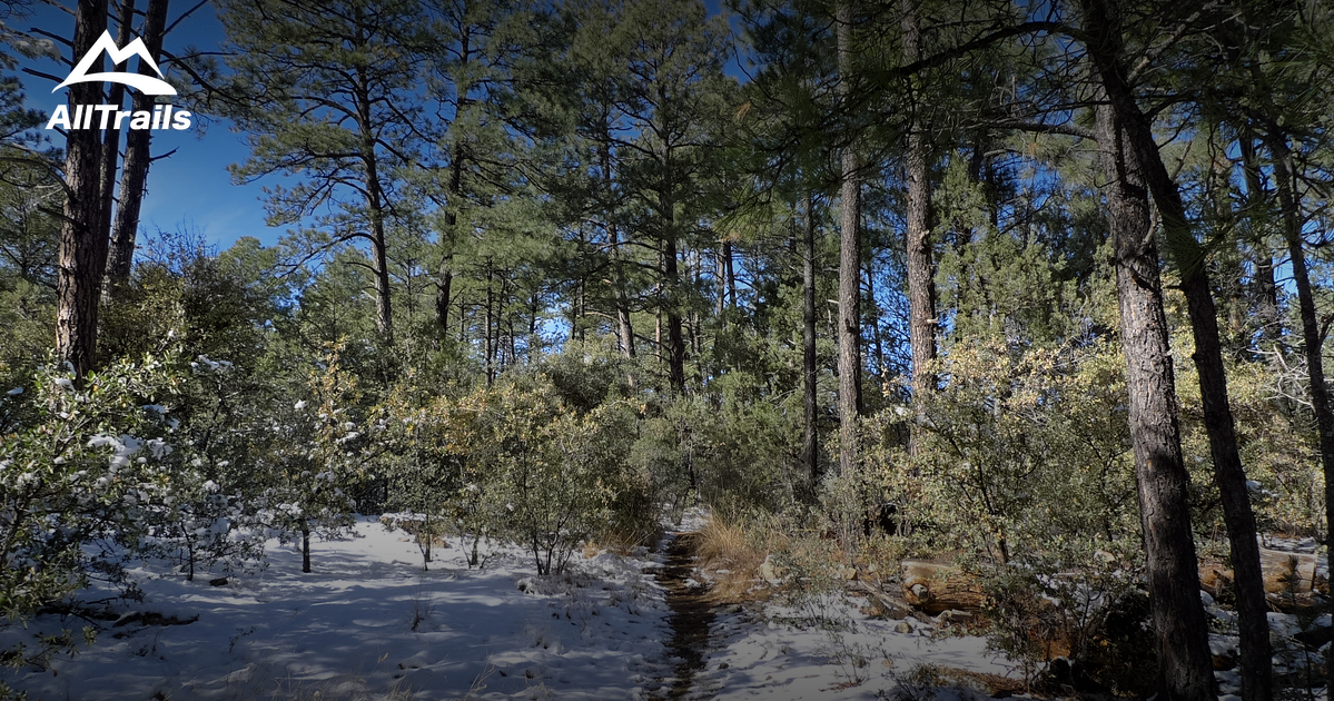 Best Trails near Silver City, New Mexico
