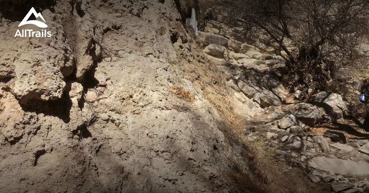 Best Trails near Tijeras, New Mexico AllTrails