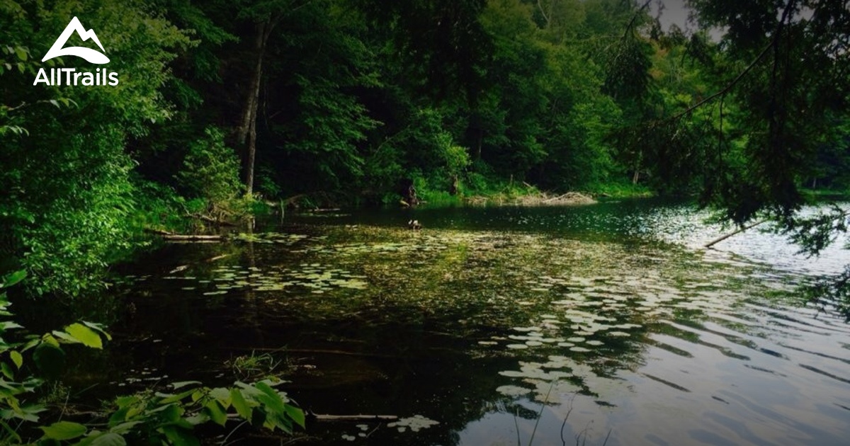 Best Hikes and Trails in Altmar AllTrails