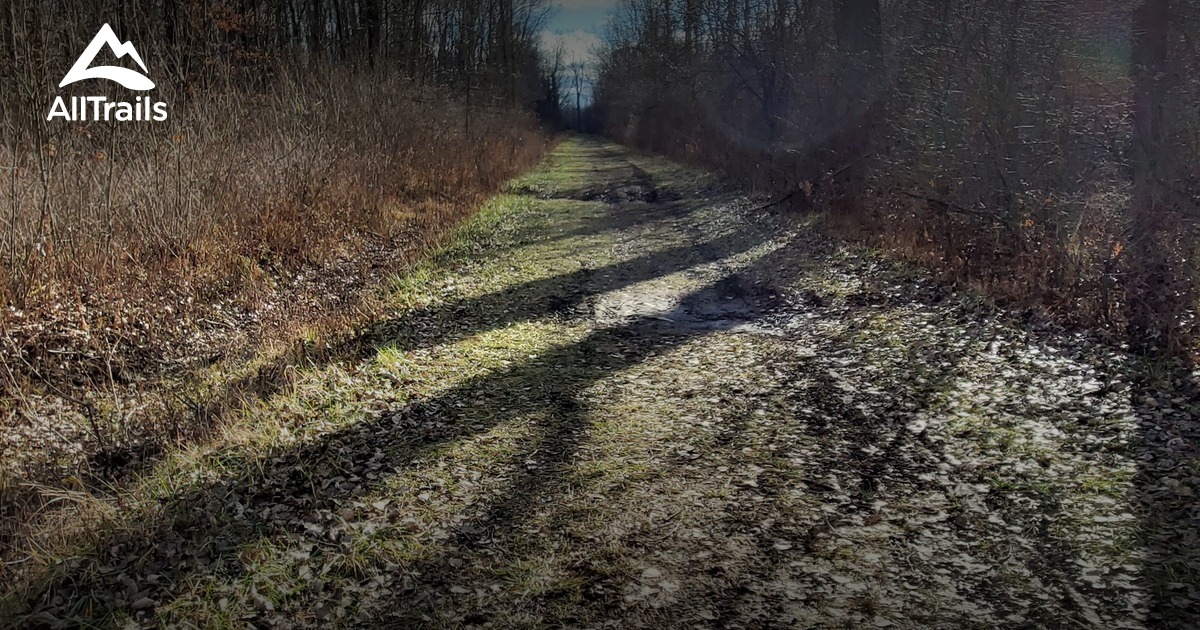 Best Hikes and Trails in Amherst AllTrails