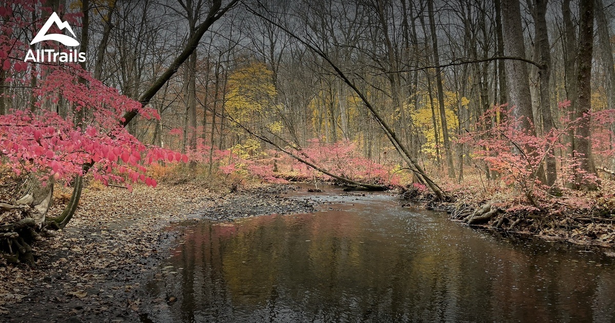 Best Hikes and Trails in Bedford Hills AllTrails