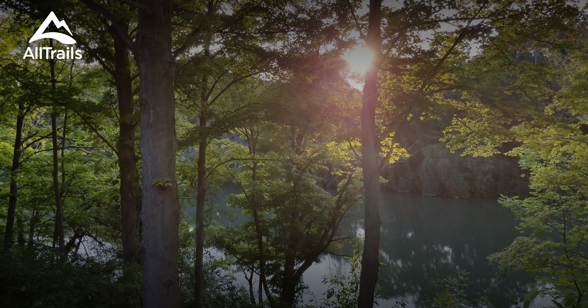 10 Best Trails and Hikes in Buffalo AllTrails