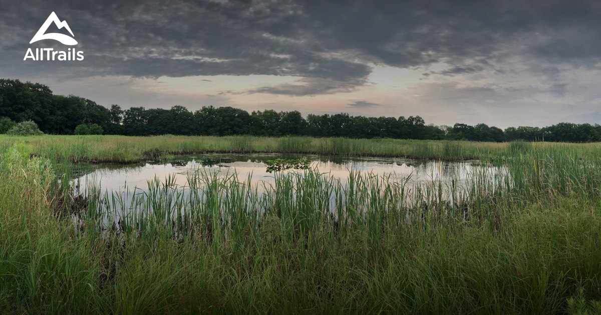 Best Hikes and Trails in Candor AllTrails