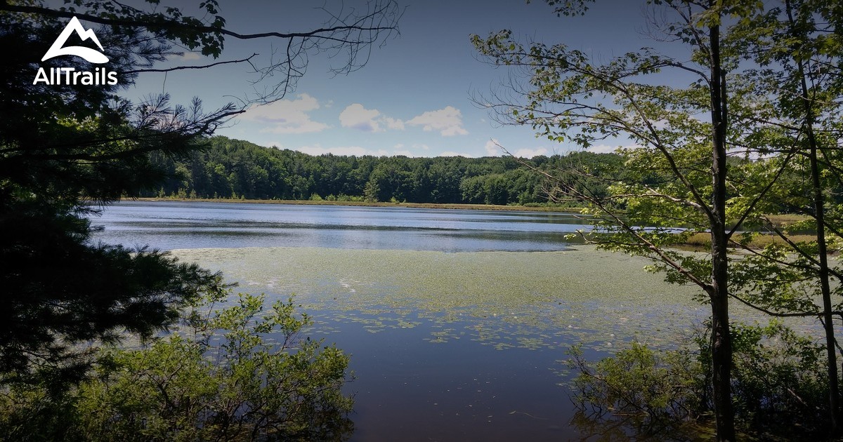 Best trails in Caneadea, New York AllTrails