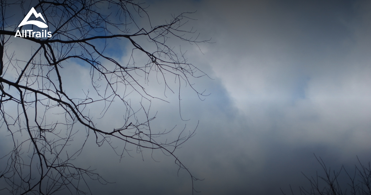 Best Hikes and Trails in Cato AllTrails