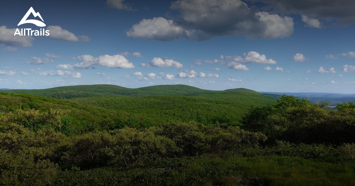 Best Trails near Copake Falls, New York AllTrails