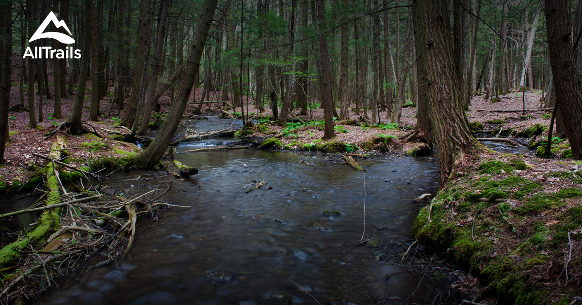 Best Trails near Cortland, New York AllTrails