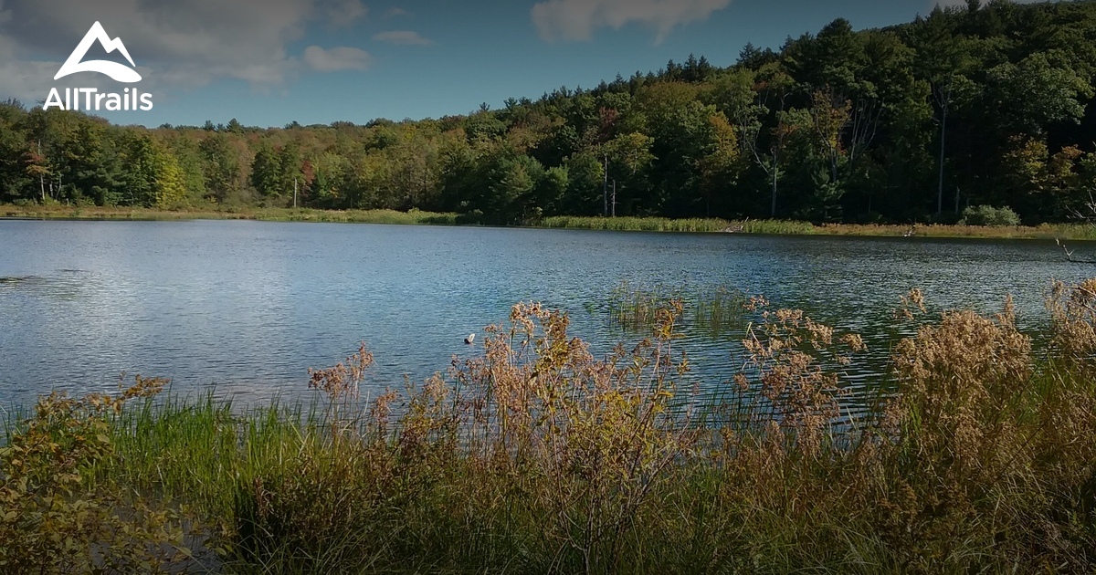 Best Hikes and Trails in East Chatham AllTrails