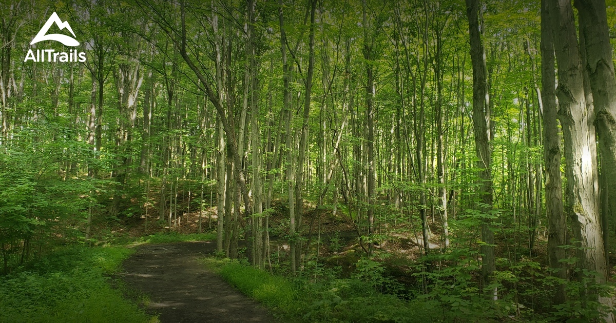 Best Hikes and Trails in Elma AllTrails