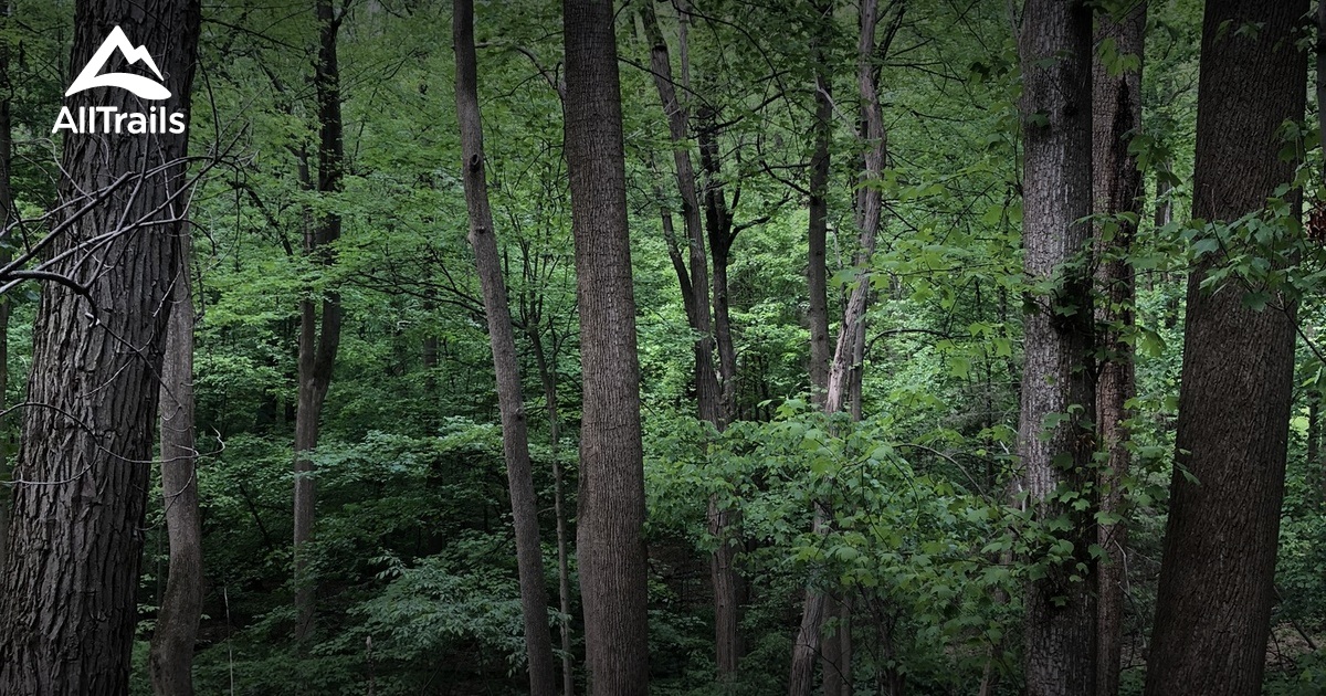 Best Wheelchair Friendly Trails in Fairport AllTrails