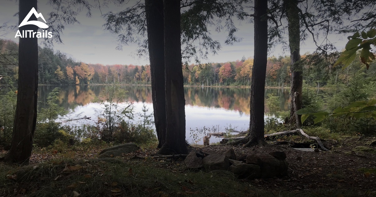 Best Hikes and Trails in Forestport AllTrails