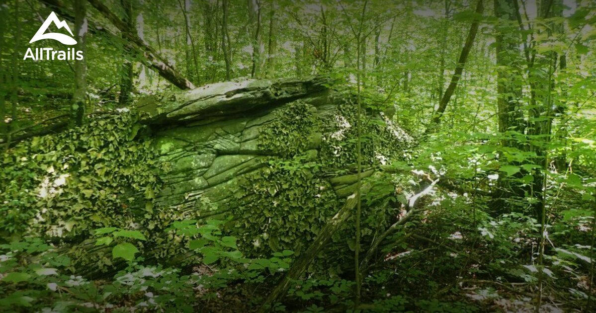 Best Hikes and Trails in Hancock AllTrails