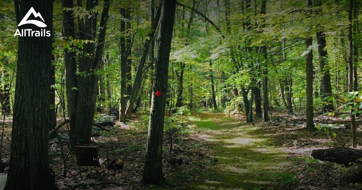 Best Hikes and Trails in Hillsdale AllTrails