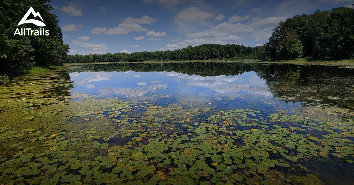 Best Hikes and Trails in Java Center AllTrails