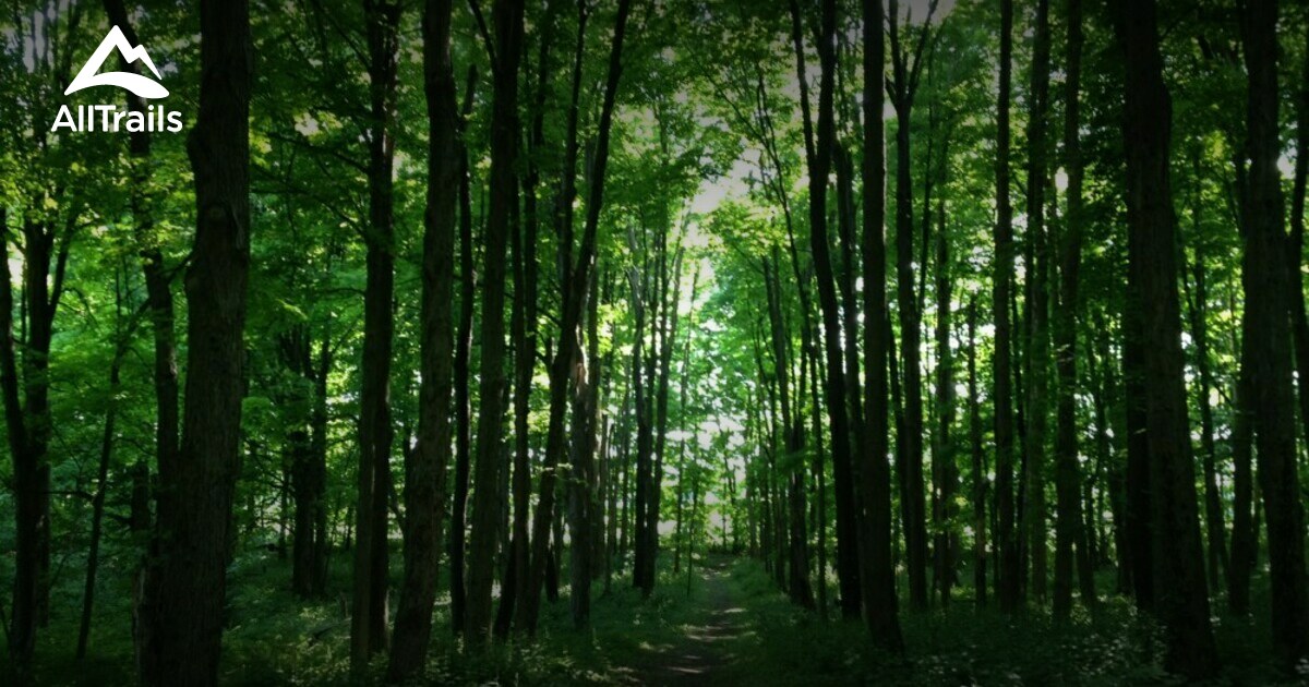 Best Hikes and Trails in Kinderhook AllTrails