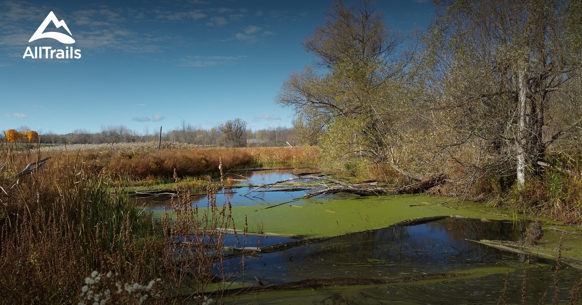 Best Hikes and Trails in Lyons AllTrails