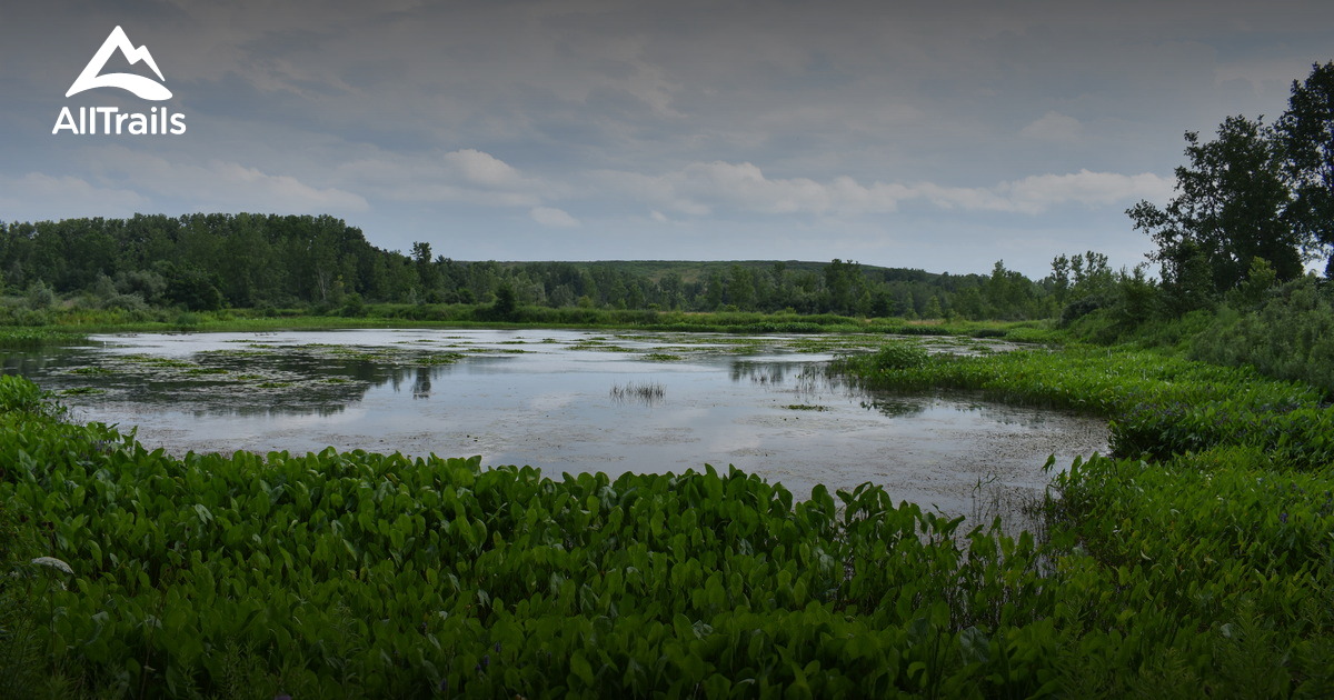 Best Easy Trails in Macedon AllTrails