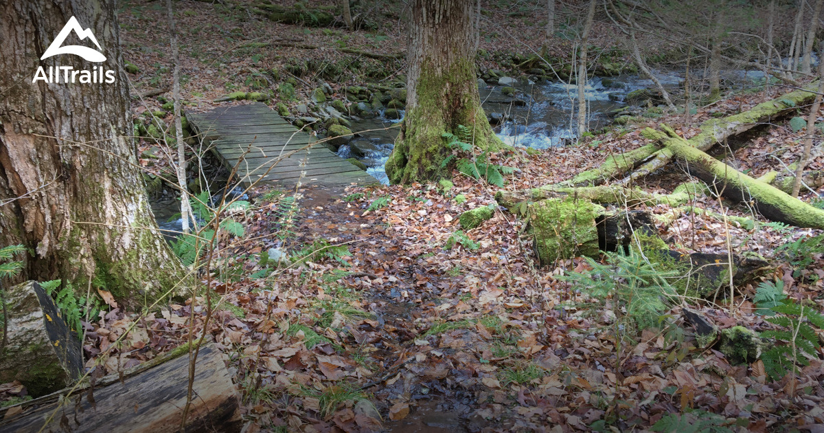 Best Trails near Margaretville, New York AllTrails